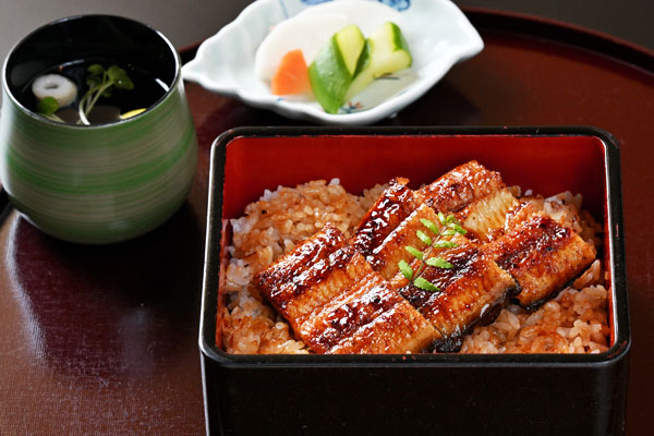 Special Unagi-juu